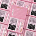 Luxury Handmade Private Label PBT Fiber Cluster Lashes Customizable Manga Fan Lash Kit Custom Logo Wholesale